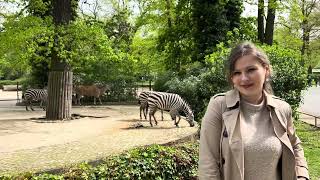What to expect from the visit of Zoo Berlin