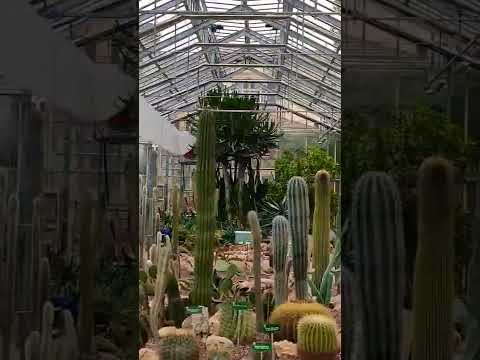 Video: Botaniska trädgården 