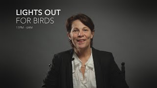 Lili Taylor - Lights Out for Birds