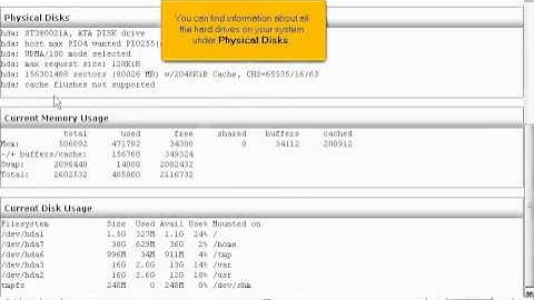 How to check your WHM servers status and information in WHM - Canadian Web Hosting