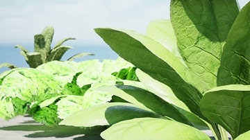 Leafy Greens Pack 3d animation with unreal engine