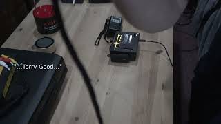 They Said Piss Off And Child Spoke Apf-D With P-Sb7Tanc Mini