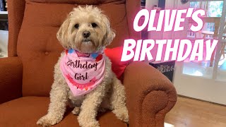 How Olive Spent Her Birthday - Olives Birthday Vlog