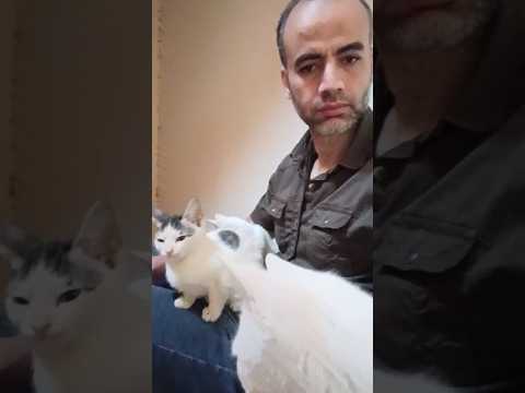 كنت بدور على مرعي ولقيته