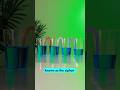 Science Tricks That Feel Like Magic#experiment#physicsexperiments #reallifehack#physicsprojects#diy