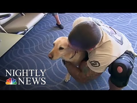 Meet The Woman Reuniting Vets With Their Retired Service Dogs | NBC Nightly News