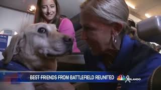 Meet The Woman Reuniting Vets With Their Retired Service Dogs | NBC Nightly News