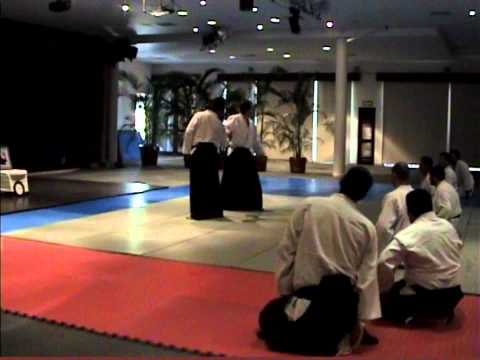 Vdeo Invitacin del 3 Seminario de Aikido 2010 con ...