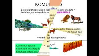 Populasi
