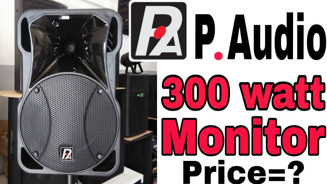 ORGINAL P AUDIO 600WATT 15INCH SPEAKER 
