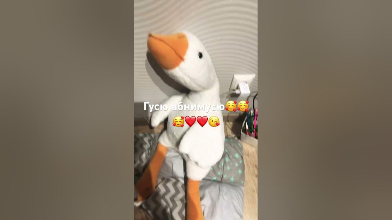 Гуся обнимуся🥰 ️😍😘💗☺️🤭 - YouTube