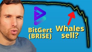 Why Bitgert is up ⚠️ BRISE (BitRise) Crypto Token Analysis