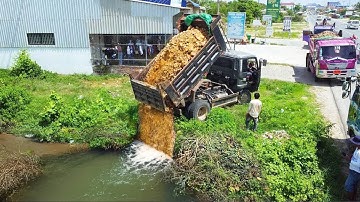 Starting a New Project Filling Flooded Pond!! Mini Bulldozer Pushing Soil into water with 5ton truck