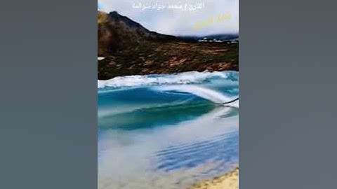 سورة التكاثر كاملة: القارئ / محمد جواد سوالمة