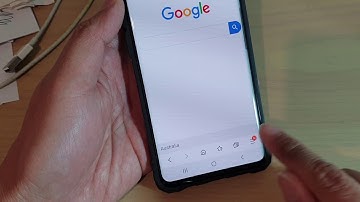 Galaxy S10 / S10+: How to Delete Internet Autofill Data