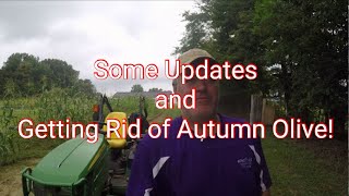 Some Updates and Getting Rid of Autumn Olive!