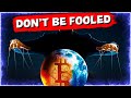 DON&#39;T BE FOOLED! RIGHT NOW IS THE MOST BULLISH BITCOIN &amp; CRYPTO HAS BEEN DURING A BEAR MARKET
