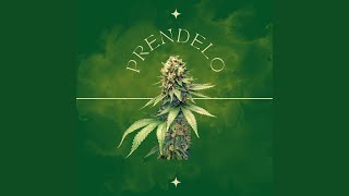 Prendelo - Ninja Malo