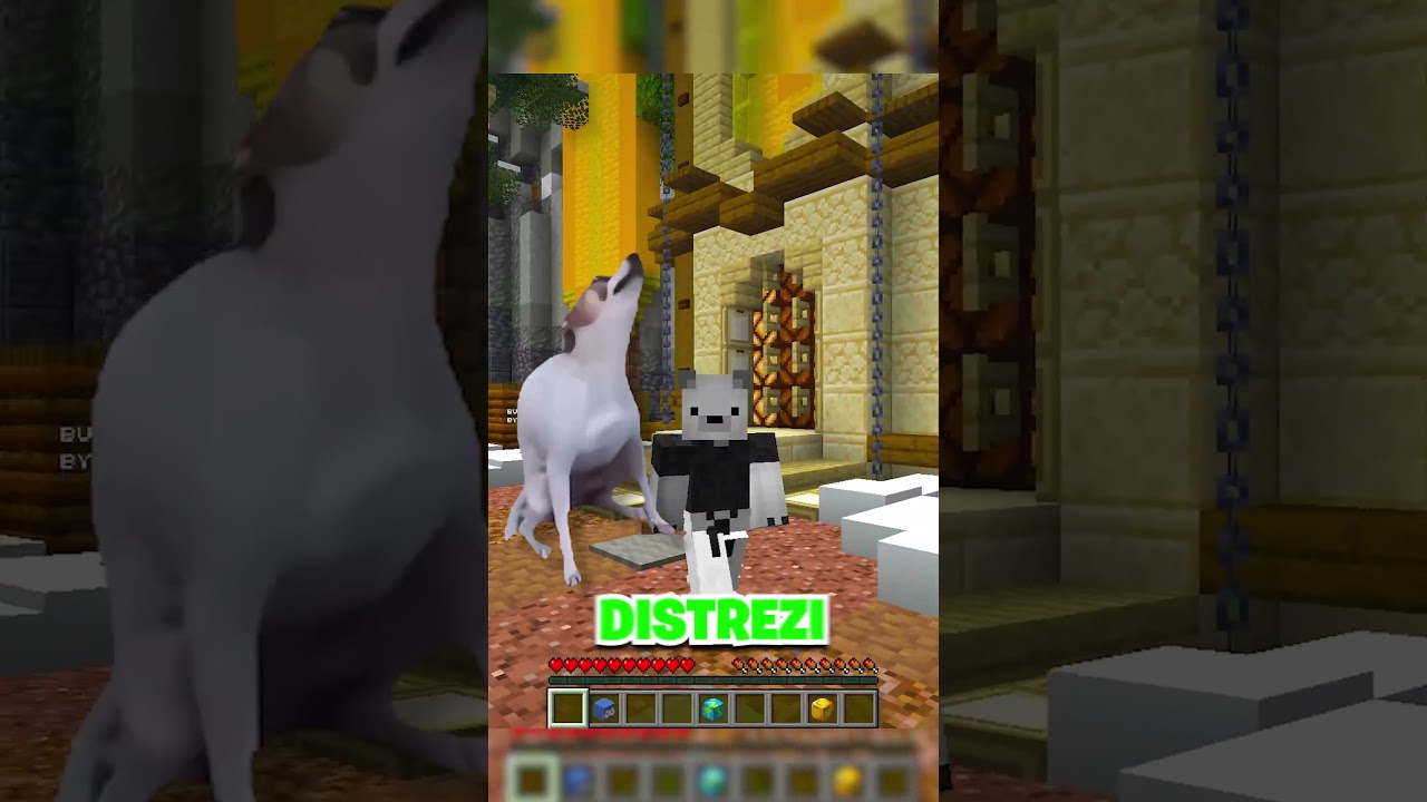 Cel mai tare server *NON-PREMIUM* din Romania #minecraft #romania #ratonii