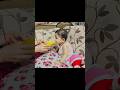 #BabyCare#CuteBaby #JuiceTime#SmallJoys#BabyVideos#FamilyVlog #Masoomiyat#DailyShorts #TrendingBaby