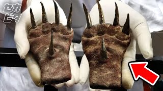 発掘者も我が目を疑う考古学的発見１０選