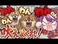 喉引きちぎれるまで叫んで戦え!【ワンワンバトル】