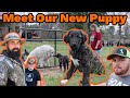 From The Blue Ridge Mountains To The Ozarks | The Amazing Journey Of Our New LIVESTOCK GUARDIAN DOG