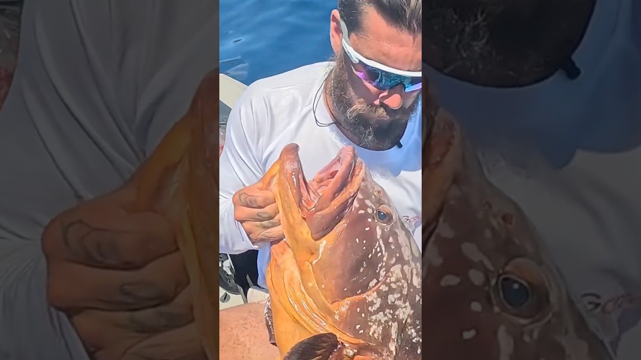 Ξεχασμένο ψάρι 😱😱 #ψάρεμα #fishing #kayakfishing #fish