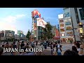 Tokyo Shinjuku night walk - Big cat・4K HDR