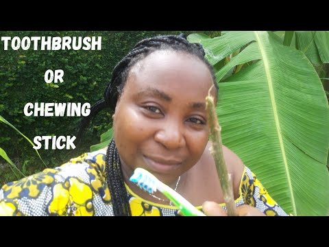 Chewing Stick Benefits For Oral Hygiene | Chewing Sticks or Toothbrush to Clean Teeth