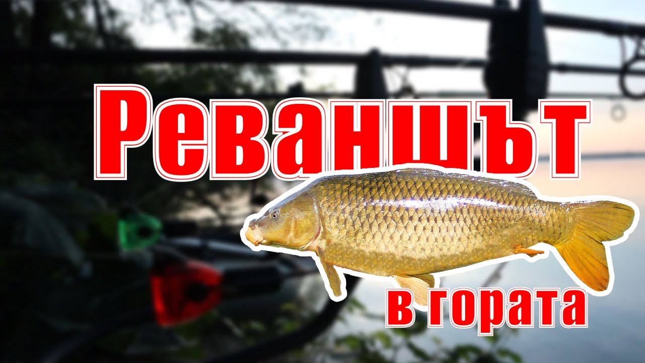 Риболов на шаран: Реваншът (2023)