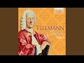Miniature de la vidéo de la chanson Fantasia No. 5 In C Major: Iii. Allegro