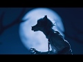 TVアニメ「BEASTARS」ノンクレジット OP