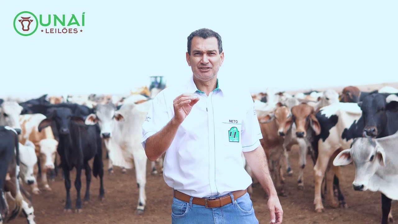 Convite: LEILÃO CARGA FECHADA da Unaí Leilões 🇧🇷