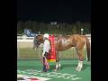 北國王冠2025  #金沢競馬 #ヴィアメント #矢野貴之騎手