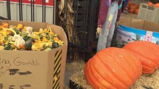 October 2016 Monthly Munzee Video