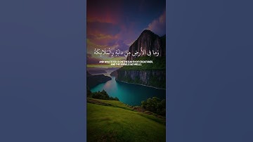 #القارئ ياسر الدوسري تلاوه خاشعه طيبه تلامس شغاف القلوب #اكسبلور #المصحف #قران_كريم #حالات_واتس
