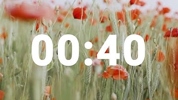 40 Second Timer with Relaxing Music and Alarm, Countdown Clock for Stress Relief