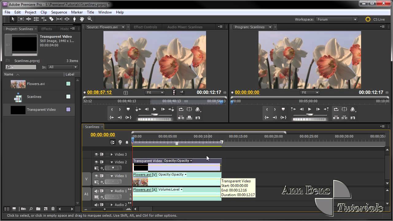 1960s tv flicker premiere pro juiceasilq