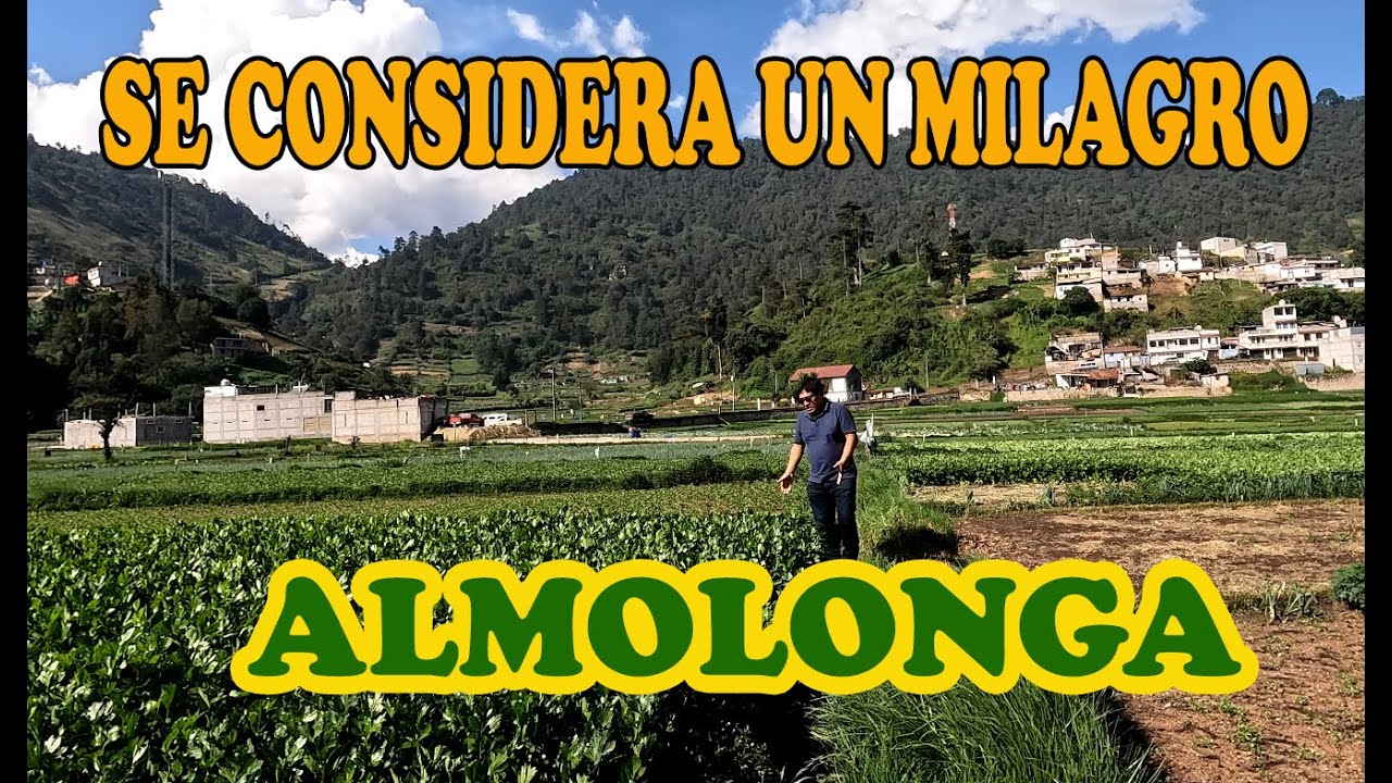 LA HORTALIZA DE CENTRO AMERICA, ALMOLONGA QUETZALTENANGO GUATEMALA