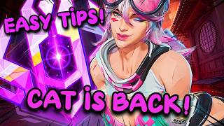 Everything You Need To Know About BLACK CATS BROKEN BUFFS/TEAMUP In Marvel Rivals Season 9!
In this video I am bringing you some tips that will help set you on your journey to play Black Cat and how you can use the new teamup to win games as this hero! Black Cat is an INSANELY strong hero this season and I think that she is flying a bit under the radar! If you want more Black Cat content please like and subscribe!
Twitch: https://www.twitch.tv/sillysphark
Discord: https://discord.gg/9FkXumXStD
X: https://x.com/SillySphark
Tiktok: https://www.tiktok.com/@sillysphark
Second Channel!: https://www.youtube.com/@ShinySphark
Email: ssjspheal@gmail.com
00:00 The New Teamup Breakdown!
08:32 First game using her buffs!
21:45 Second Game!
#marvelrivals #blackcat #buffs Everything You Need To Know About BLACK CATS BROKEN BUFFS/TEAMUP In Marvel Rivals Season 9!