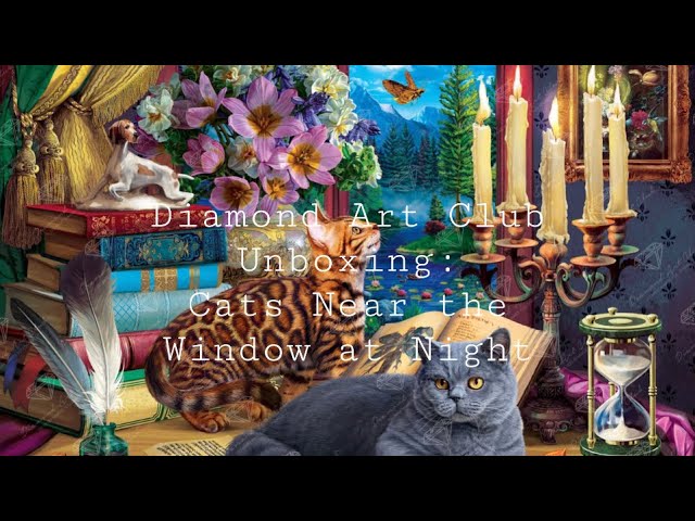 Diamond Art Club Unboxing: Cats Near the Window at Night 