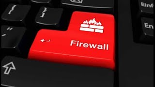 Firewalls: The Digital Gatekeepers