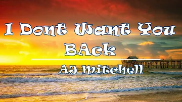 I Don't Want You Back Lyrics - AJ Mitchell