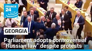 Georgian Parliament Adopts Controversial 