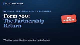Georgia Form 700 Explained: Partnership Return Rules for 2026 Update