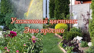 Ухоженный цветник , покупки для сада , шар из спиреи