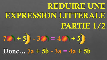 5e Réduire une expression littérale (Partie 1/2)