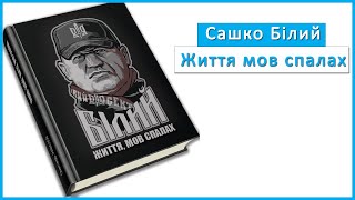 Презентація Книги 'САШКО БІЛИЙ  ЖИТТЯ, МОВ СПАЛАХ' цікаві подробиці від Василя Лабайчука