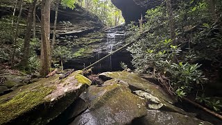 Big South Fork, O&W Bridge, Jake’s Falls, Pine Creek, Summer Wildflowers and More!